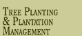 Tree Planting and Plantation Management